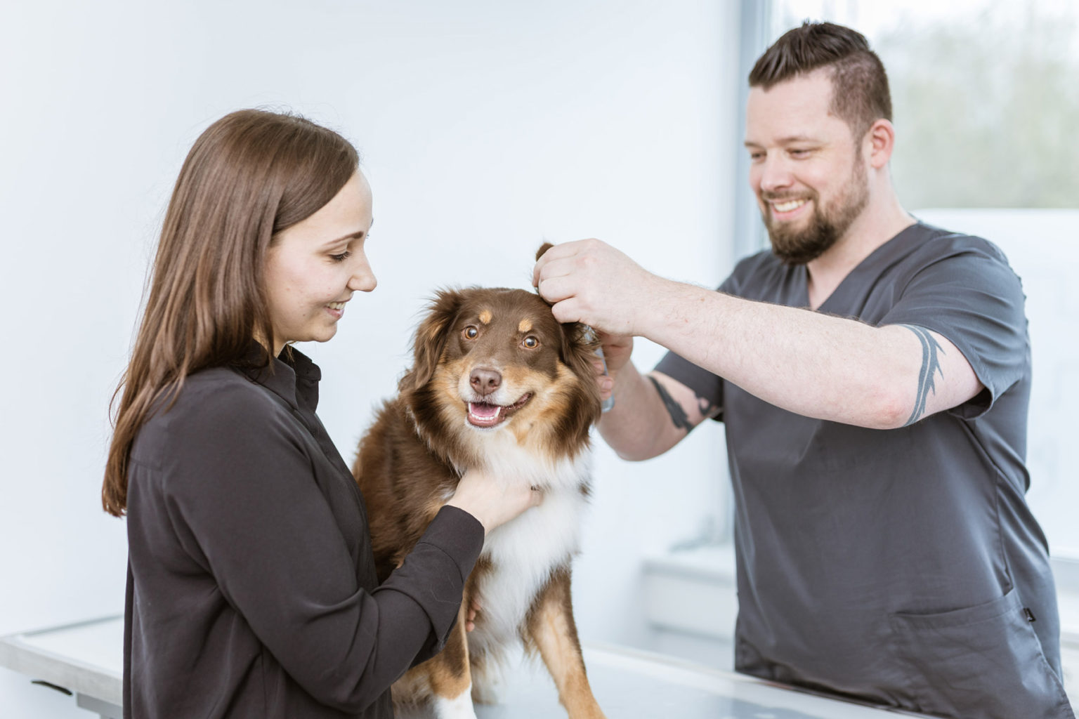 Willkommen beim Tierarzt in Hamburg
